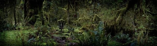 Photograph Peter Andrew Lusztyk Phone Booth on One Eyeland